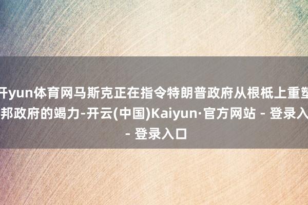 开yun体育网马斯克正在指令特朗普政府从根柢上重塑联邦政府的竭力-开云(中国)Kaiyun·官方网站 - 登录入口